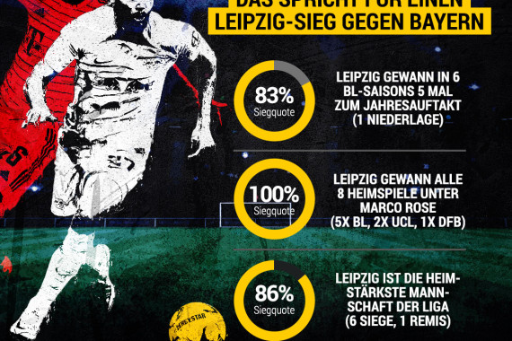 Grafik Gründe pro Leipzig 2