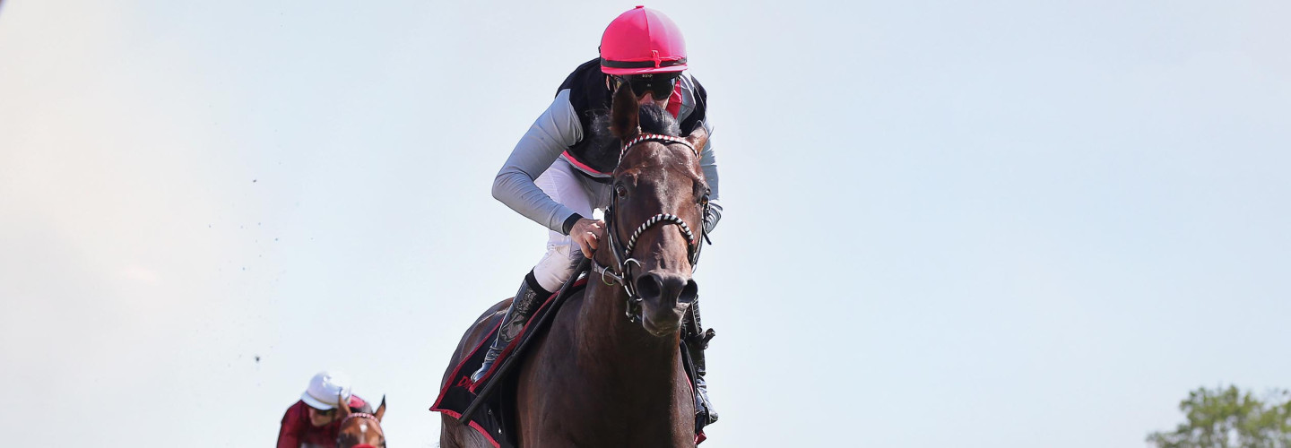 Der Derbyfavorit Straight bei seinem Sieg im Union-Rennen in Köln